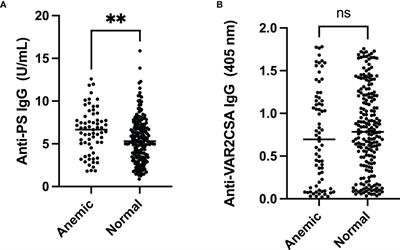 Anti-phosphatidylserine antibody levels are low in multigravid pregnant women in a malaria-endemic area in Nigeria, and do not correlate with anti-VAR2CSA antibodies